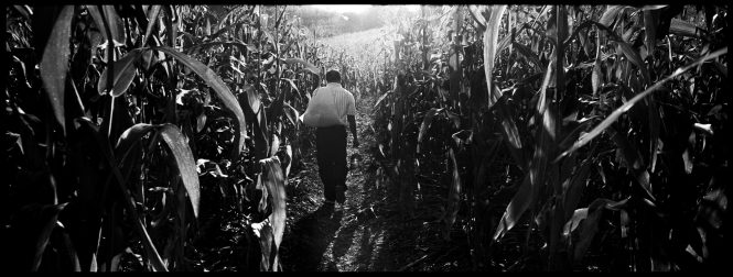 Carrying a bag full of hope - donated goods from an international charity - a Guatemalan farmer walks through his corn fields hoping that the weather will provide a good harvest.