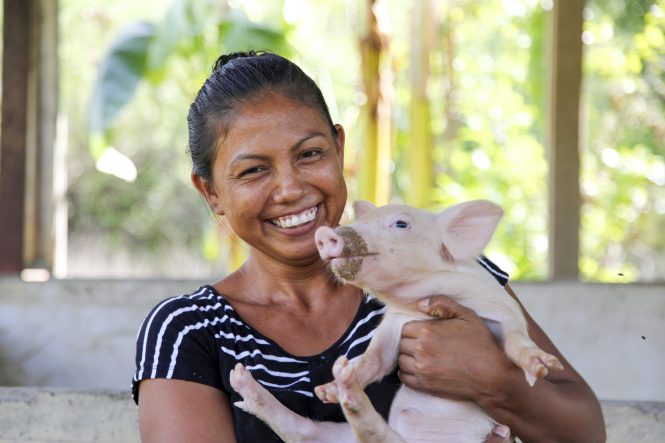 An animal husbandry project (pigs) in the home of Yamileth Garcia in San Marcos de la Pilas, part of an Amigos for Christ program in Chinandega. Cross International and Cross Catholic Outreach to Nicaragua May 10-20, 2016.Photo by Benjamin Rusnak